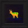 "Thermal Painting- Pronghorn" Frontier Series, Pronghorn,13" x 13", oil on board